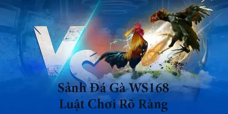 Khám Phá Bí Mật Cách Chơi Đá Gà WS168 Tại B9Casino Thưởng Cực Lớn 2 Khám Phá Bí Mật Cách Chơi Đá Gà WS168 Tại B9Casino Thưởng Cực Lớn