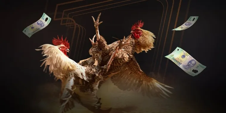 Thỏa Mãn Đam Mê Với Sảnh Đá Gà B9Casino Đẳng Cấp Nhất Hiện Nay 1 Thỏa Mãn Đam Mê Với Sảnh Đá Gà B9Casino Đẳng Cấp Nhất Hiện Nay